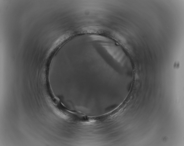 X0000091960250200709201350