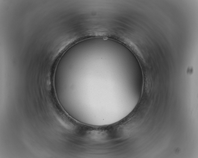 X0000091960251200709201350