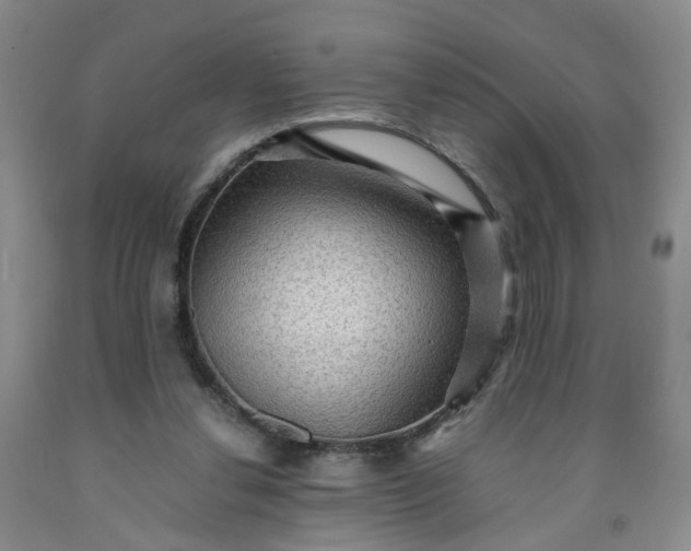 X0000091960252200709201350