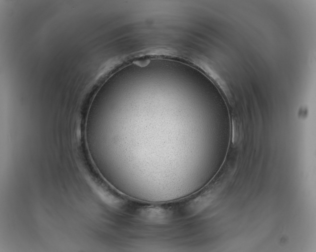 X0000091960253200709201350