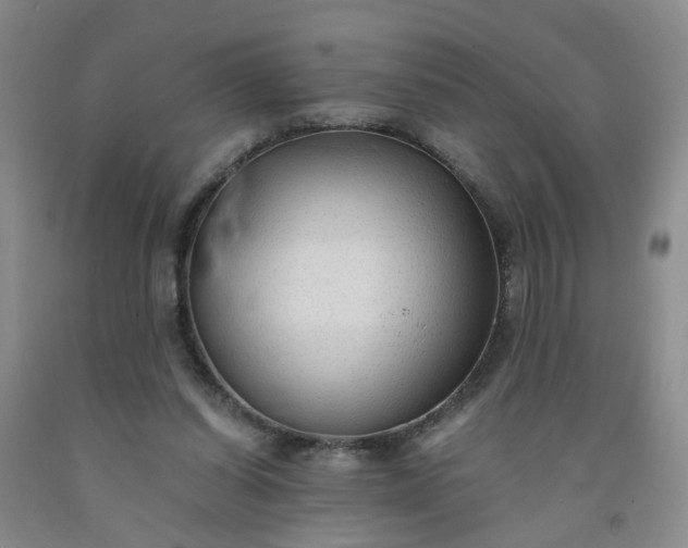 X0000091960254200709201350