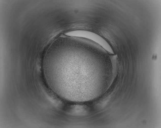 X0000091960255200709201350