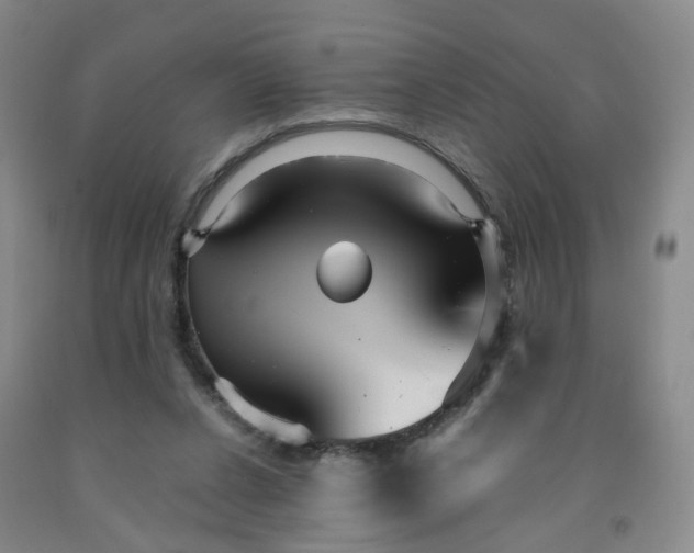 X0000091960256200709201350