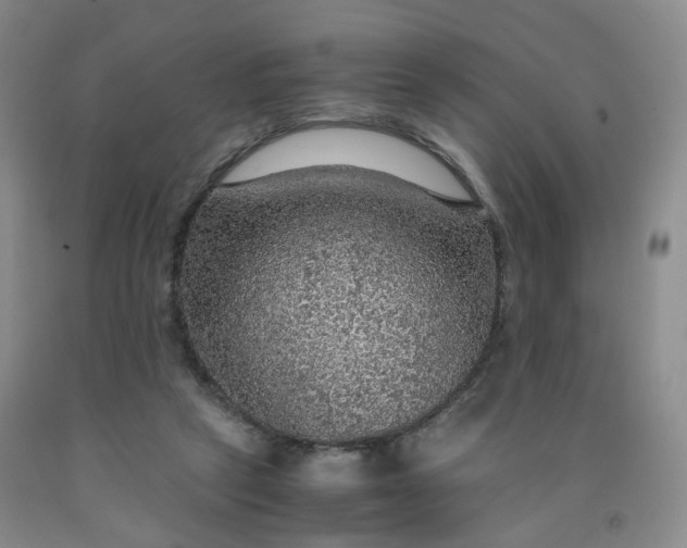 X0000091960257200709201350