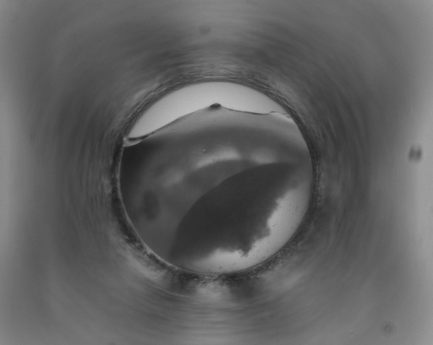 X0000091960258200709201350