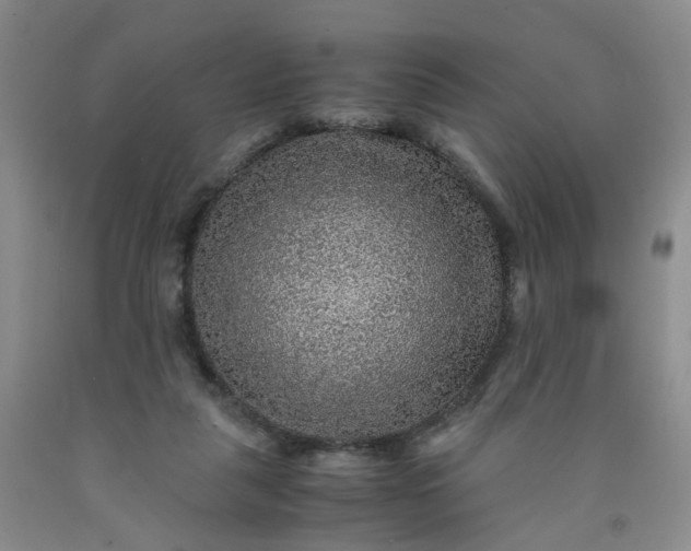 X0000091960259200709201350