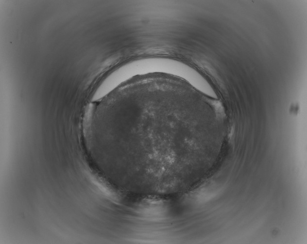 X0000091960260200709201350