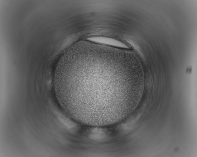 X0000091960261200709201350