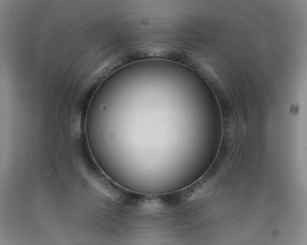 X0000091960262200709201350