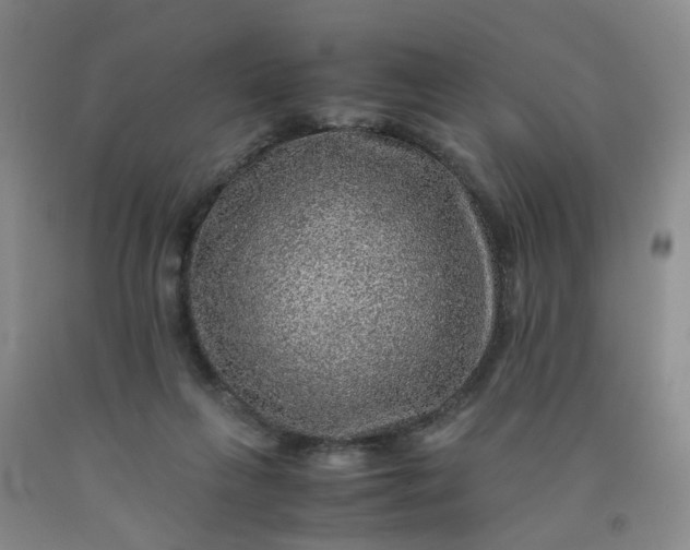 X0000091960263200709201350