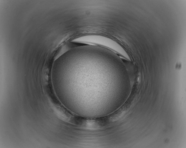 X0000091960264200709201350