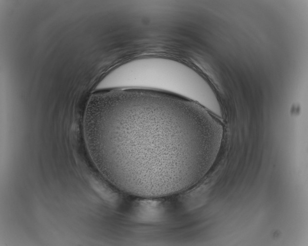 X0000091960265200709201350