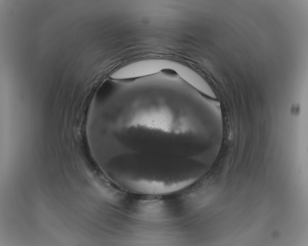 X0000091960266200709201350