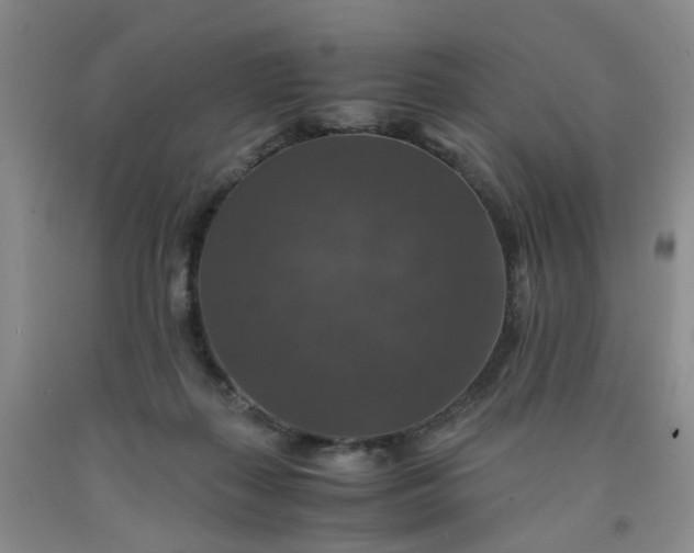 X0000091960267200709201350