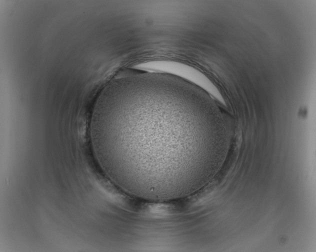 X0000091960268200709201350