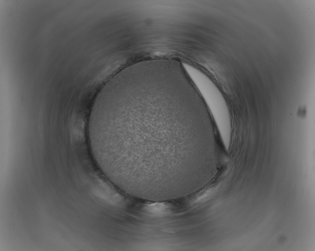 X0000091960269200709201350