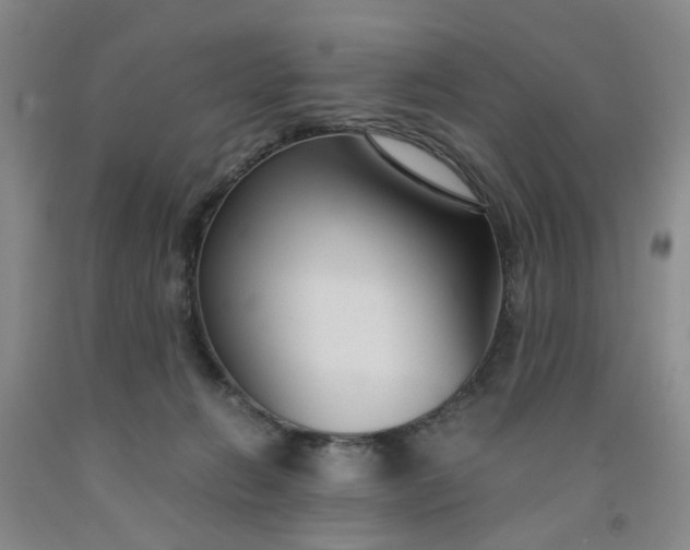 X0000091960270200709201350