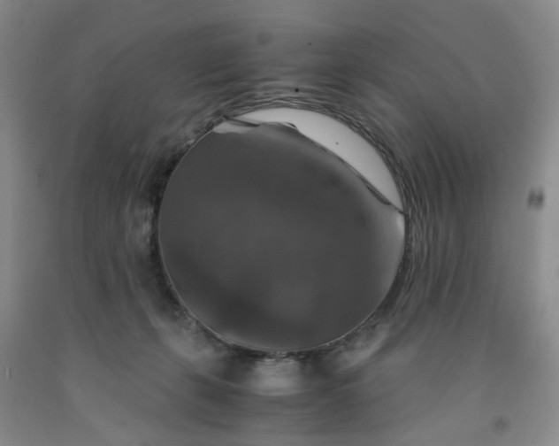 X0000091960271200709201350