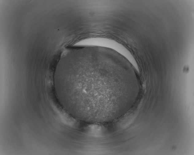 X0000091960272200709201350