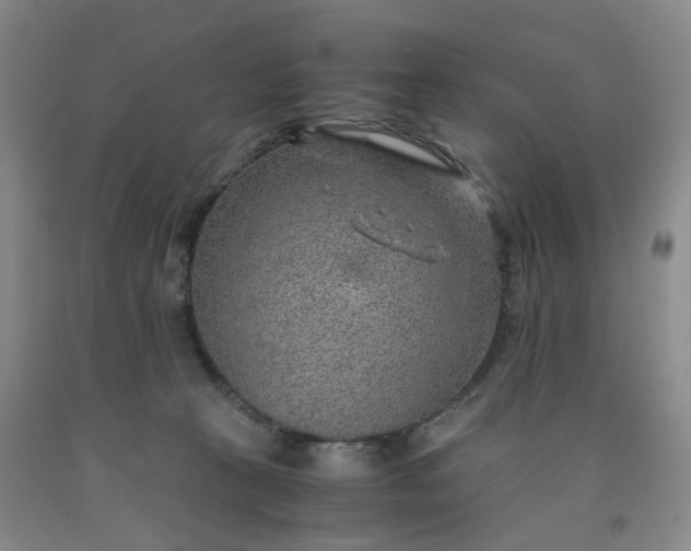 X0000091960273200709201350