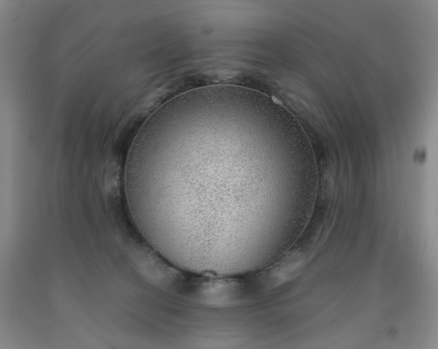 X0000091960274200709201350