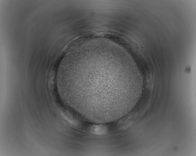 X0000091960275200709201350