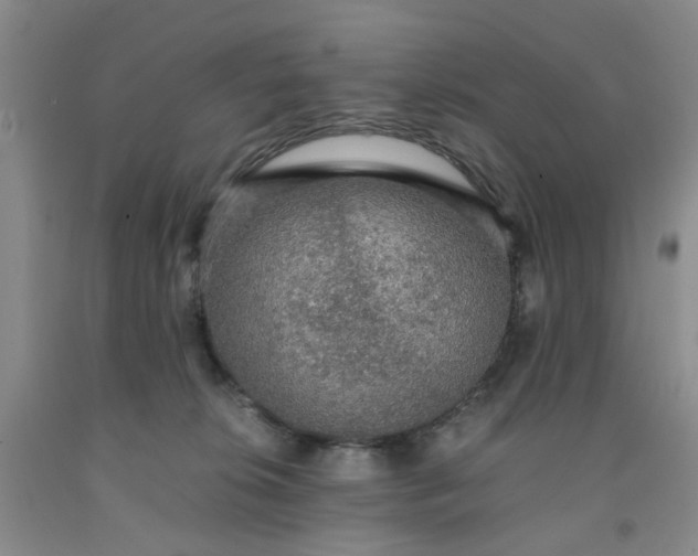 X0000091960276200709201350