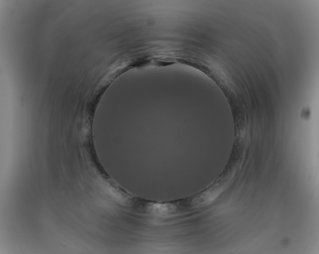 X0000091960277200709201350