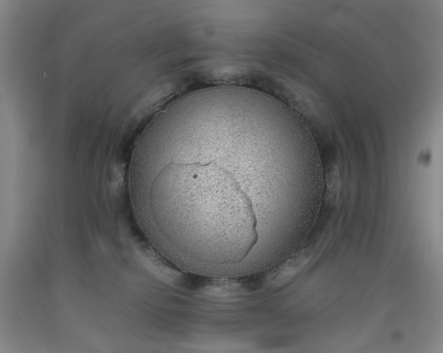 X0000091960278200709201350