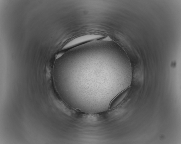 X0000091960282200709201350