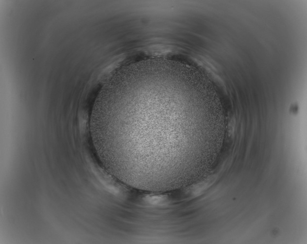 X0000091960283200709201350