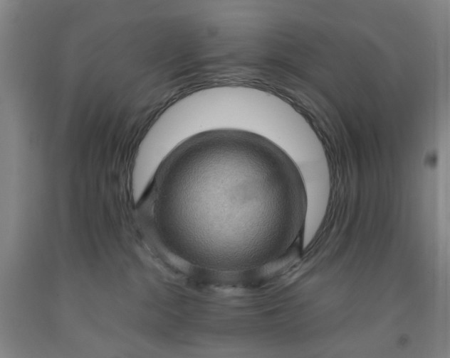 X0000091960284200709201350