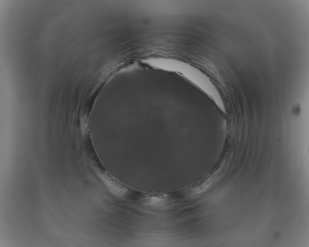 X0000091960285200709201350