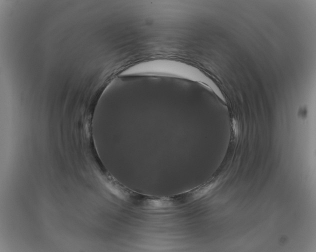 X0000091960286200709201350