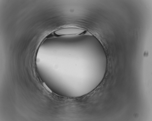 X0000091960289200709201349