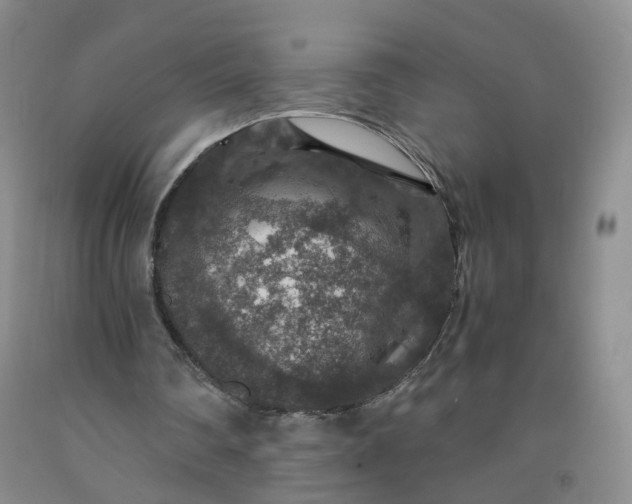 X0000091960290200709201349