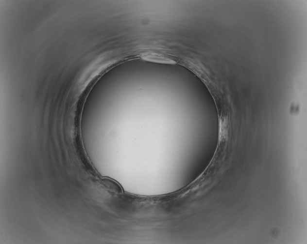 X0000091960291200709201349