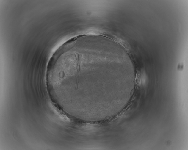 X0000091960292200709201349