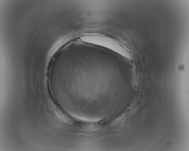 X0000091960293200709201349