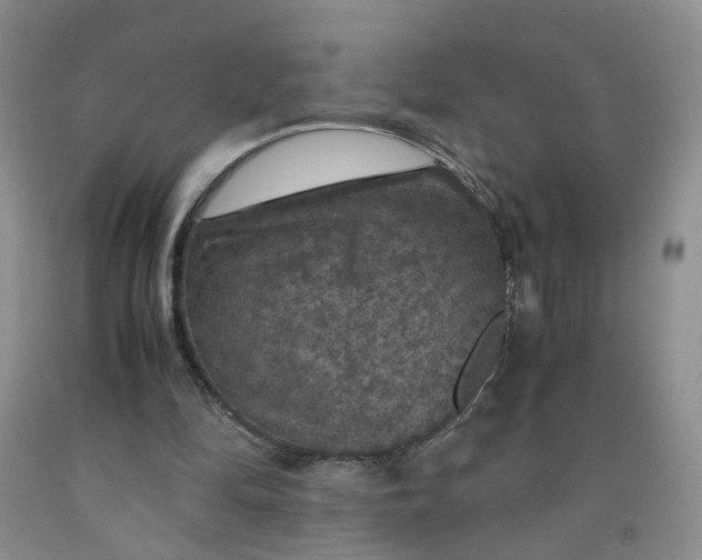 X0000091960294200709201349