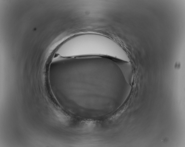 X0000091960295200709201349