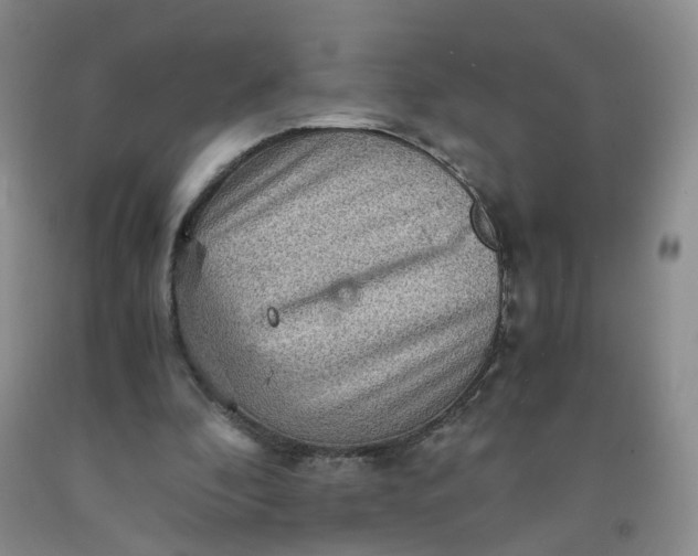 X0000091960296200709201349