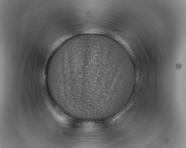 X0000091960298200709201349