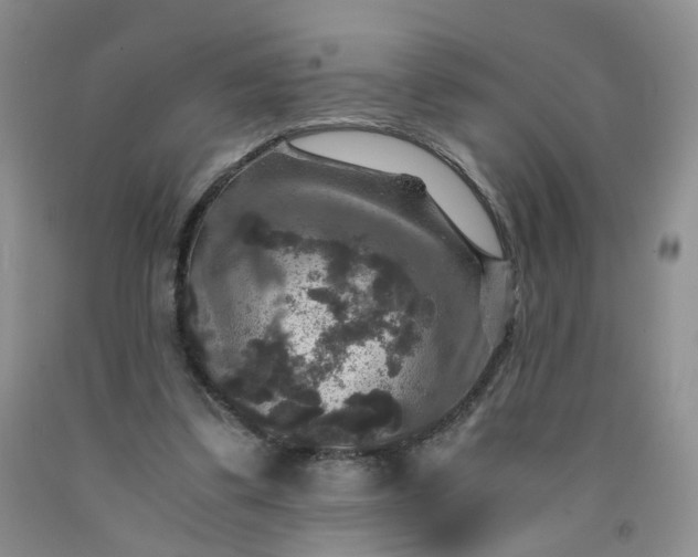 X0000091960299200709201349