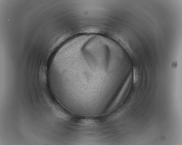 X0000091960300200709201349