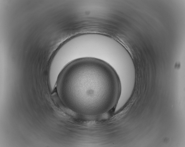 X0000091960301200709201349