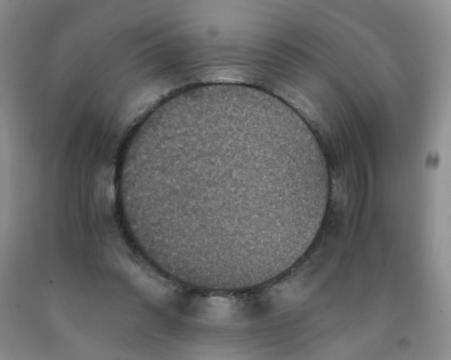 X0000091960302200709201349