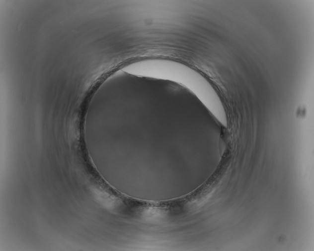 X0000091960303200709201349