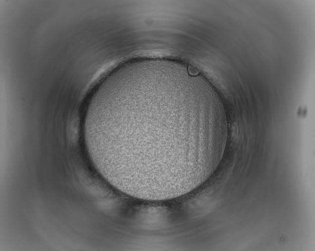 X0000091960304200709201349