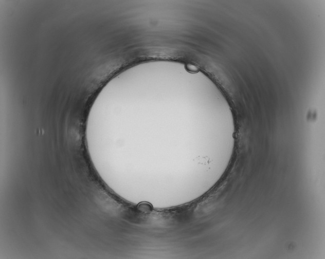 X0000091960305200709201349